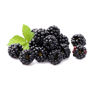 Frutas frescas Blackberries Comprar en línea Venta al por mayor Fabricante Stock a granel Proveedor - Product Image 6