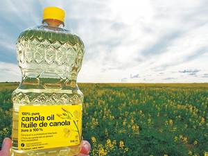 Vente en gros d'huile de colza (huile de canola) - Product Image 5