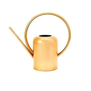 Arrosoir galvanisé pour plantes d'extérieur avec bec amovible, arrosoir en métal parfait pour plantes d'intérieur et fleurs de jardin - Product Image 4