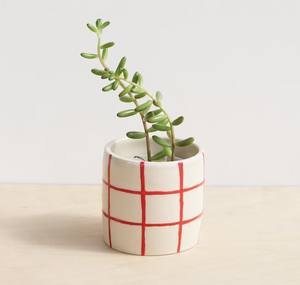 Maceta Moderna de Cerámica con Diseño Moteado, Duradera, para Plantas Suculentas de Interior, Elegante Adorno Decorativo para el Hogar - Product Image 5