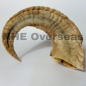 อุปกรณ์สำหรับฟันและฟันสำหรับลูกสุนัขที่แข็งแรงทนทานทนทานสำหรับสุนัข - Product Image 4