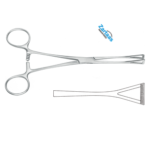 Pince à tissus Duval en acier inoxydable de haute qualité Slim 18cm / 7 "Fabricant d'instruments chirurgicaux - Product Image 2