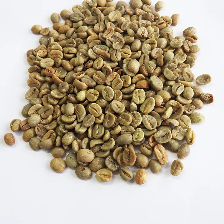 Grains de café vert 100% naturel, Robusta & Arabica, Vietnam, prix de vente entier