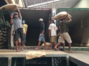 Vilaconic Organic Robusta Coffee <b>Beans</b> Grade 1 From Dak Lak Vietnam SCR13/SCR16/SCR18 - Product Image 6