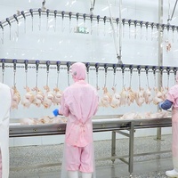 Distributeur automatique d'abattoir,, maison d'abattoir à poulet, équipement d'abattoir