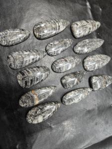 Orthoceras Cabochons Pierres précieuses en vrac Guérison Fait à la main Mélange lisse Forme dans toutes les tailles Belle Orthoceras Cabochon Pierres précieuses en vrac - Product Image 2