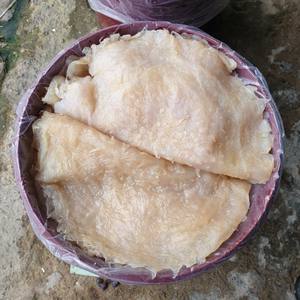 แมงกะพรุนเค็ม อาหารทะเลแสนอร่อย ผลิตภัณฑ์ทางการเกษตร แมงกะพรุนเค็ม คุณภาพดีจากฮอลิเดย์ - Product Image 1