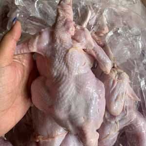 ไก่ทั้งตัวแช่แข็ง - Product Image 1