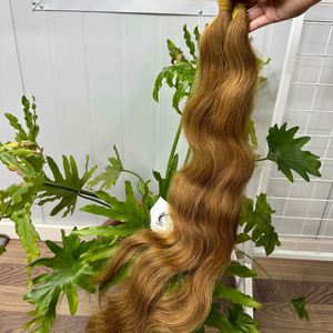 Precio al por mayor 100% Extensiones de cabello humano vietnamita a granel de doble estirado auténtico Onda Natural #27 Cutícula completa alineada Raw Top - Product Image 2