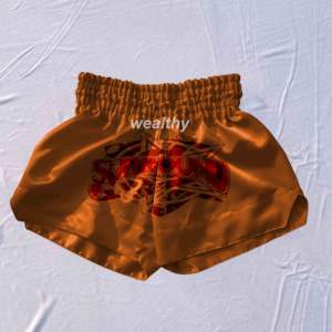 Short de boxe personnalisé avec votre nom et logo Short de boxe MMA sur mesure Short de boxe MMA pour homme - Product Image 1