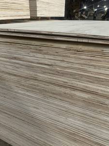 Madera Contrachapada y Palés Ecológicos para Embalaje, Uso E2, Exportación Económica en Grandes Cantidades - Product Image 6