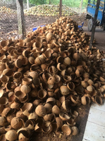 Coquilles de noix de coco de qualité supérieure pour l'exportation utilisées dans le charbon de bois de Shisha et l'artisanat de décoration intérieure