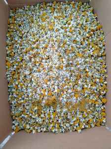 ชาสมุนไพรคาโมมายล์ออร์แกนิกสำหรับเด็กคาโมไมล์แห้งแบบพรีเมี่ยม - Product Image 4