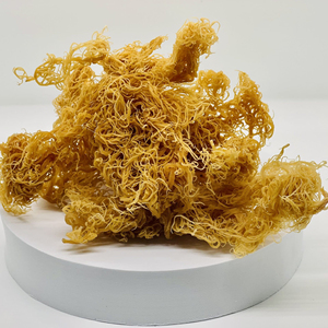 ALIMENTATION VÉGAN | COUCHAGES SÉCHÉS DE QUALITÉ SUPÉRIEURE POUR LA SANTÉ À BAS PRIX - Product Image 1