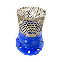 Clapet anti-retour à pied à bride PN16 à bas prix avec crépine en acier inoxydable clapet anti-retour d'incendie à pied de filtre de haute qualité