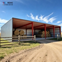 Nave de Almacenamiento de Heno Personalizada, Cobertizo, Almacén, Estructura de Acero Prefabricada, Edificio Agrícola de Bajo Costo, Edificio Metálico de Almacenamiento