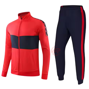 Survêtements d'hiver pour hommes, légers, de qualité supérieure, à capuche, unis, 100% coton, vente en gros - Product Image 3