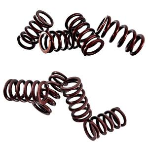 Resorte de Válvula de Acero Inoxidable de Alta Temperatura KAO Cygnus para Modificación/Actualización de Motocicletas - Product Image 1