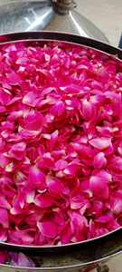 Meilleures ventes de roses séchées Bourgeons du Vietnam triés sur le volet Meilleure vente de roses séchées Parfait pour les détaillants de souvenirs et les acheteurs mondiaux - Product Image 5