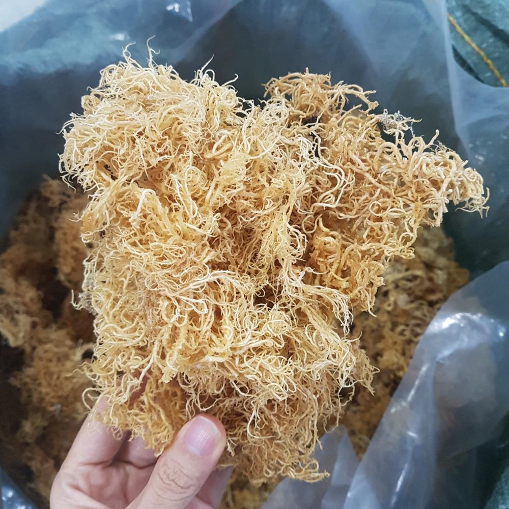 Хит продаж, новый урожай, вьетнамский сушеный морской мох, Серена, хлопья и порошок нори и умывальные водоросли в упаковке, оптовая продажа