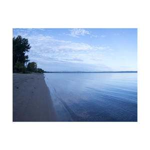 Bûches de bois de hêtre de qualité supérieure en vrac disponibles à des prix avantageux avec des offres de construction concurrentielles - Product Image 6