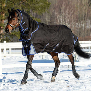 Accesorios para <span class=keywords><strong>caballos</strong></span> de invierno al mejor precio, increíble alfombra polar con decoración personalizada, relleno de algodón impermeable - Product Image 2