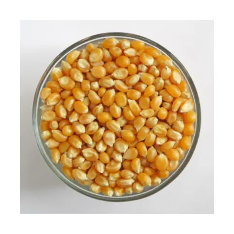 Best Quality Dried Style Yellow Corn/ Dry Maize For Animal Feed Best Prices