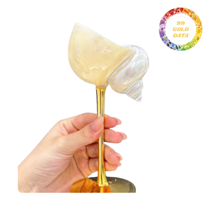 Unique Handmade Seashell <b>Glass</b> | Ocean Bar Accessories & Home Decoration | Ready for gifting - Product Image 1