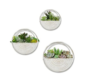 El mejor último diseño de calidad superior de metal galvanizado para colgar en la pared maceta color personalizado para la decoración del hogar y el jardín - Product Image 1