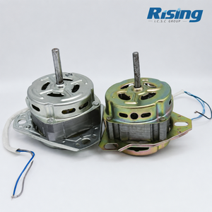 Motore Centrifuga e Scarico per <span class=keywords><strong>Lavatrice</strong></span> Manuale 220V 50HZ con Avvolgimenti in Rame al 100% - Fornitura Diretta dalla Fabbrica - Marca RISING - Vendita Calda - Product Image 2