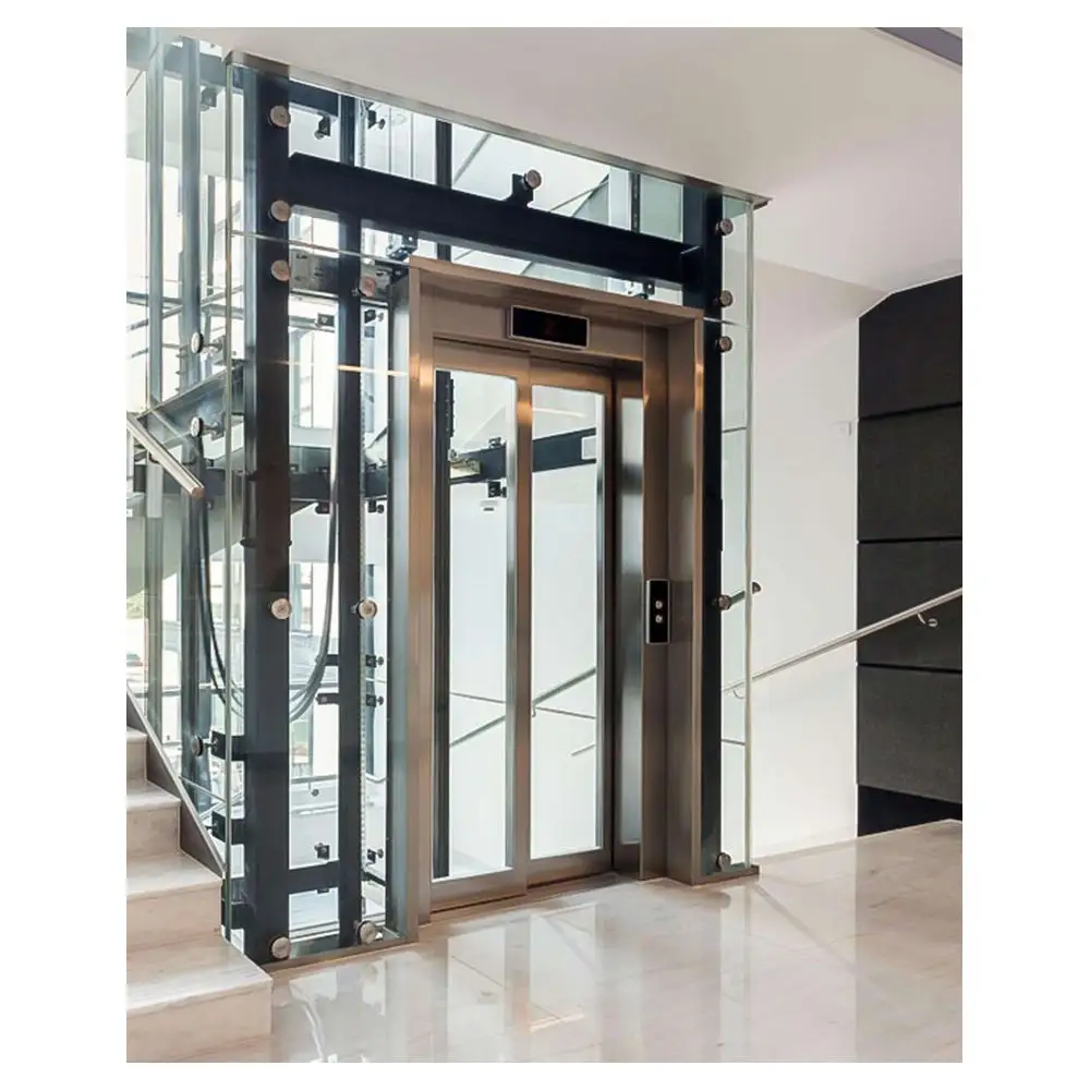 Asansörler sıcak satış ev ev için asansör küçük asansörler tutun, Modern ev tipi asansör asansör PR-E92