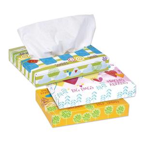 Papier toilette ultra doux hypoallergénique en pâte de bois vierge gaufré, 6 boîtes rectangulaires, 70 mouchoirs par boîte, 3 plis - Product Image 2