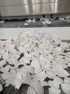 Viande de noix de coco congelée de haute qualité: blanc pur, naturel pour le dessert, exporté des principaux fournisseurs vietnamiens pour les marchés mondiaux - Product Image 4