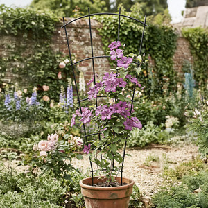 Lot de 2 grilles de soutien en forme d'éventail pour plantes en pot de jardin - Product Image 4