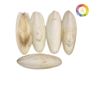 Hueso de calamar/hueso de calamar seco de alta calidad para masticar loros y aves domésticas: exportador de confianza de Vietnam con suministro a granel - Product Image 3