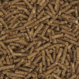 Pélets de madera de abeto, pino - Product Image 3