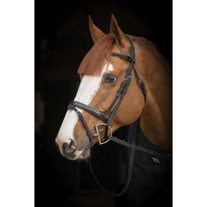 Fabricantes que venden brida de caballo de cuero genuino al por mayor diseño personalizado brida de caballo de cuero real de alta calidad - Product Image 4