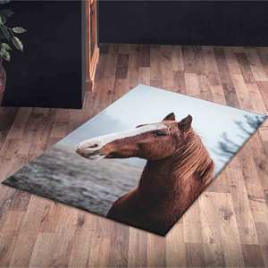 Tapis imprimé : Petit, d'appoint, pour salle à manger, entrée, motif cheval, style ferme, animalier, sauvage, décoration de salon, cadeau, tapis en chenille - Product Image 5