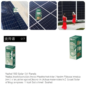 Panneau solaire Yashel 100 - Product Image 2