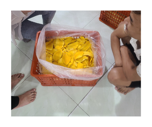 Mango seco de Vietnam al por mayor, aperitivo natural Premium perfecto para postres y exportación en todo el mundo - Product Image 3