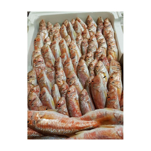 Mullet Rojo del Mar Negro Congelado Premium disponible a precio de fábrica para suministro a granel y comercio mayorista - Product Image 4