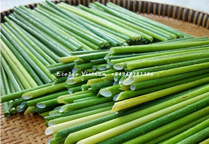 Eco2go 100% pajitas de hierba biodegradables naturales de alta calidad Material de PC Accesorios de barra para beber suministro a granel - Product Image 3