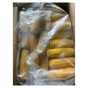 Maíz Dulce Entero IQF Envasado en Paquetes de 1KG/500G, Natural, Vaporizado/Congelado, Granos Dulces, Logotipo Personalizado, Mejor Precio de 99 Gold Data - Product Image 3