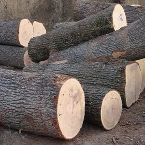 Quality Eucalyptus logs at cheap price