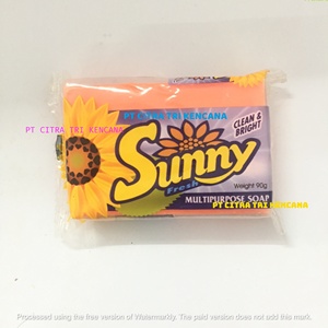 DETERGENTE PARA CUERPO DE DUCHA DE LAVADO BARRA DE LAVADERO JABÓN DETERGENTE LÍQUIDO 800 GRAMOS JABÓN MULTIUSOS Belo Horizonte BRASIL AMÉRICA DEL SUR - Product Image 5