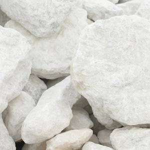 Carbonate de magnésium (dolomite) de qualité industrielle, poudre pour l'agriculture - Product Image 2