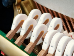 เปียโนตั้งพื้น Kawai BS2A ผลิตในญี่ปุ่น สำหรับการแสดงระดับมืออาชีพ จัดส่งทั่วโลกได้  แผ่นเสียงไม้แท้ DS60 - Product Image 5