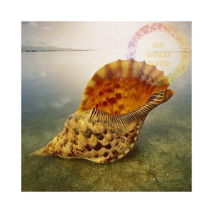 Conchas de Caracol de trompeta natural para manualidades de playa y decoración costera del hogar | Auténticas conchas oceánicas - Product Image 3