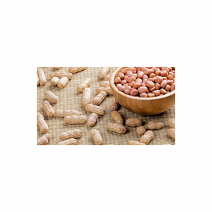 Fresh Dried Peanut <b>Nuts</b> Bulk Wholesale for Food Industry Snacks Raw Processed in Large Quantities Organic - Product Image 5