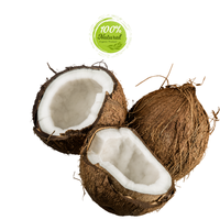 Meilleure noix de coco séchée du Vietnam à chair épaisse, 100% naturelle, complément parfait pour les compotes de fruits tropicaux